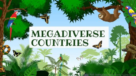 12 mega biodiversity countries|Megadiverse Countries definition .